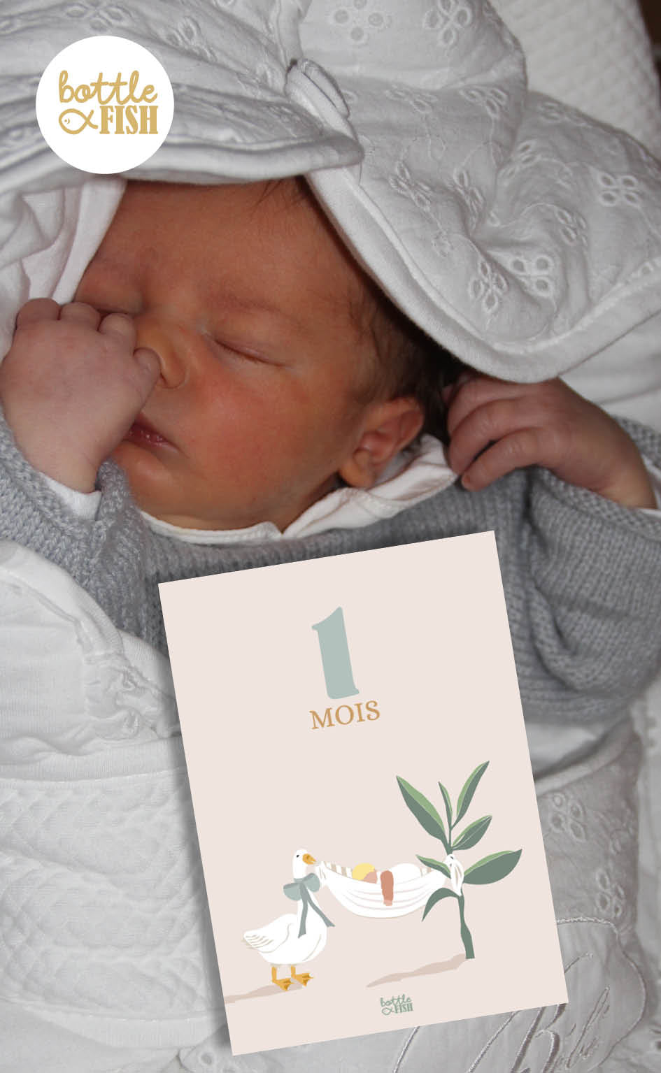 Cartes Etape 12 mois